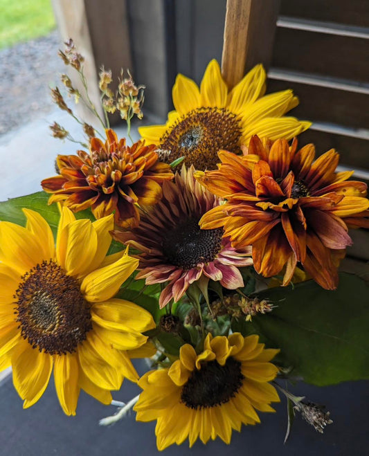 Why I Grow Sunflowers